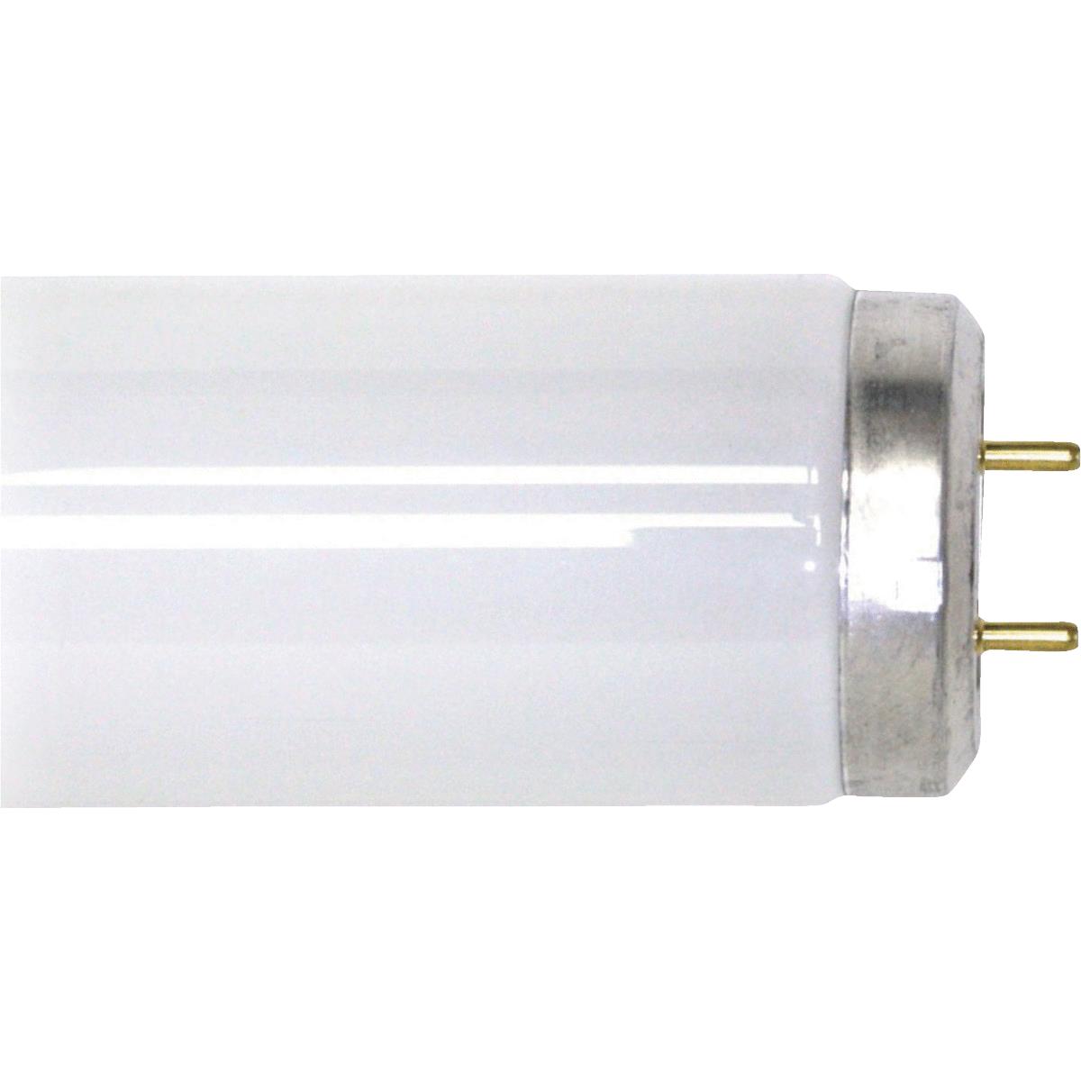 25W 33" T12CW FLUOR TUBE