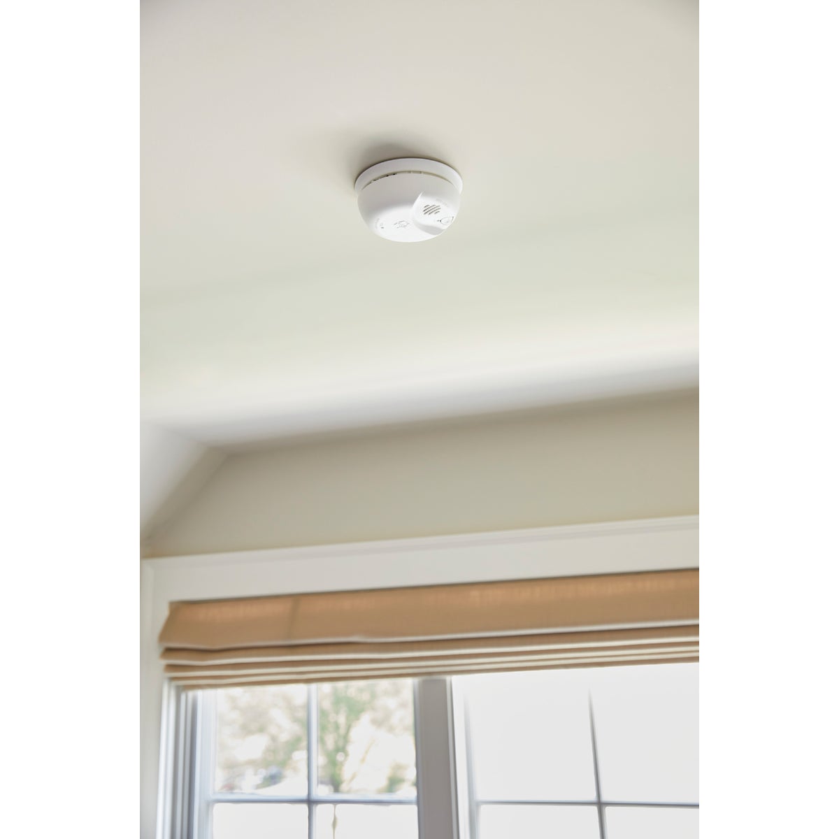 First Alert Battery Powered Ionization Combination Alarm Image 4