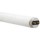 15W 18" T8 CW FLUOR TUBE Image 1