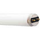 30W 36" T8 CW FLUOR TUBE Image 1