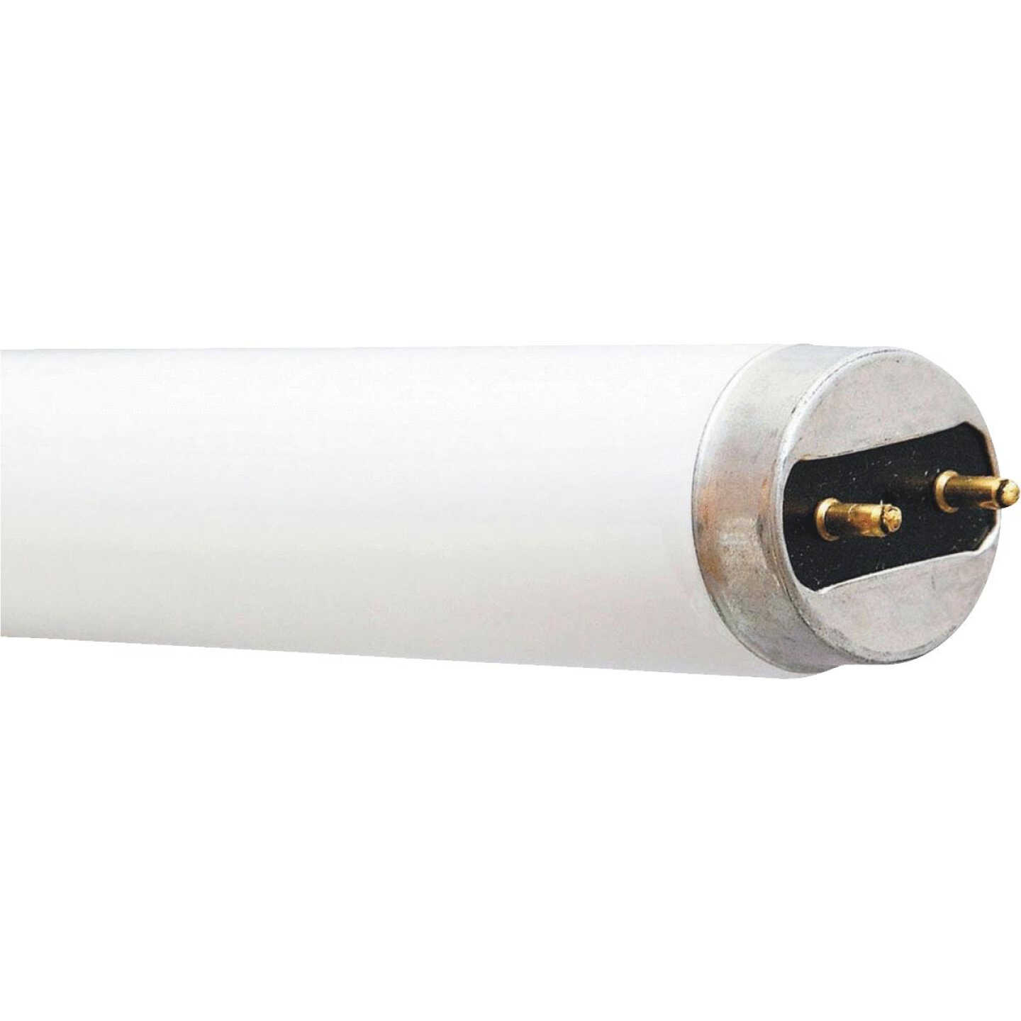 30W 36" T8 CW FLUOR TUBE Image 1