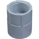 Carlon 1/2 In. Female Threaded & Socket PVC Conduit Female Adapter Image 1