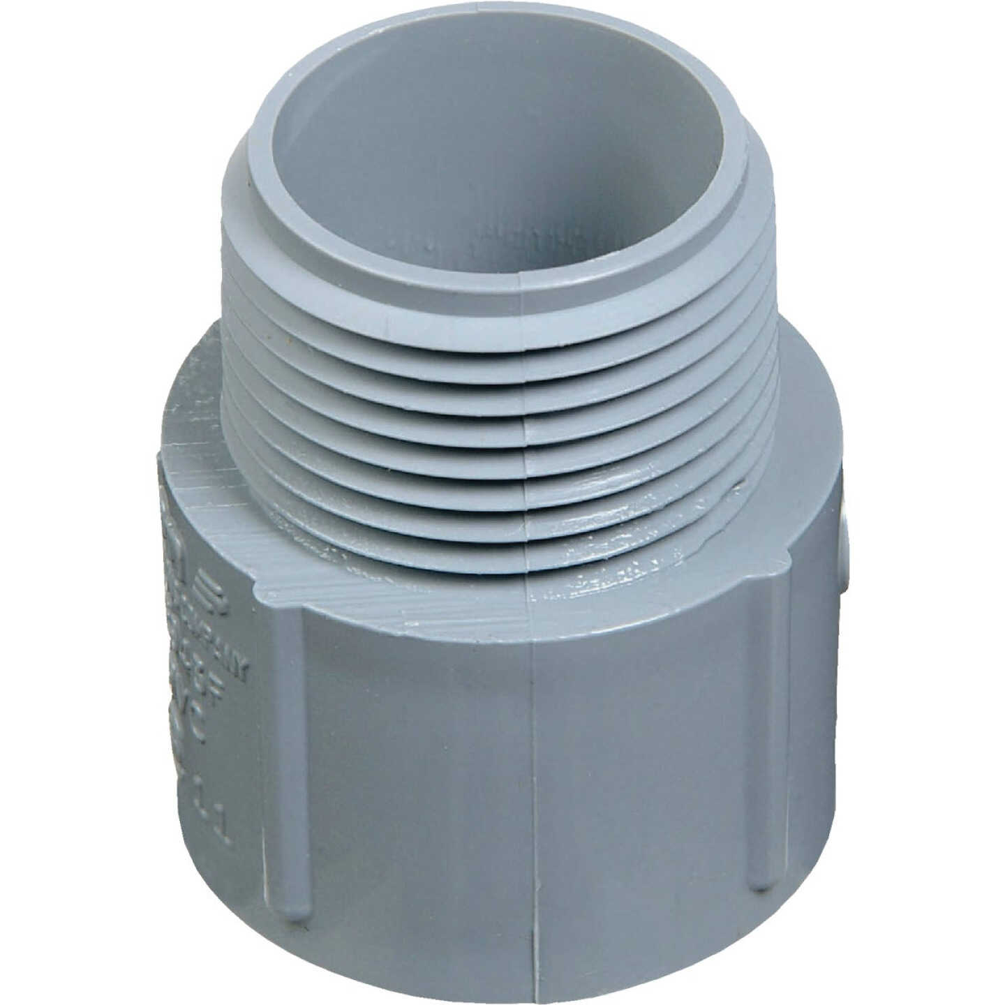 Carlon 1/2 In. Male Threaded & Socket Terminal Adapter Image 1