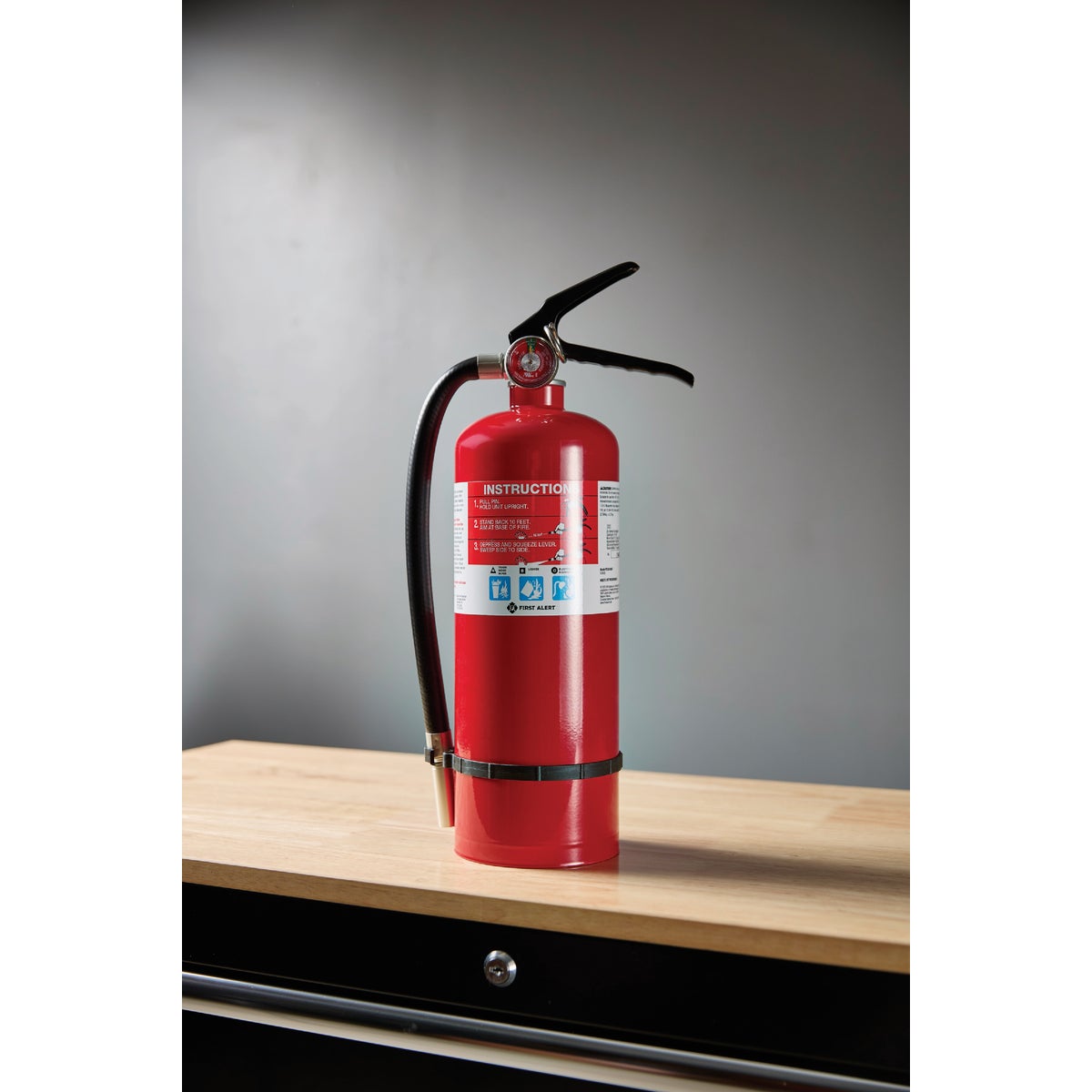 First Alert 2A 10BC Fire Extinguisher Image 4