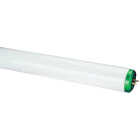 Philips 40W 48 In. Daylight Deluxe T12 Bi-Pin Fluorescent Tube Light Bulb (2-Pack) Image 1