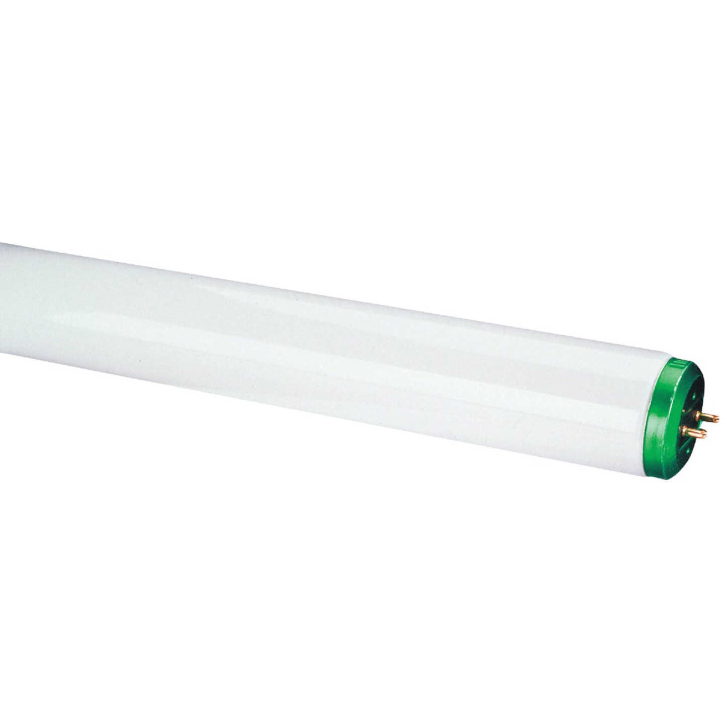 Philips 40W 48 In. Daylight Deluxe T12 Bi-Pin Fluorescent Tube Light Bulb (2-Pack) Image 1