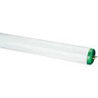 Philips 20W 24 In. Cool White T12 Bi-Pin Fluorescent Tube Light Bulb Image 1