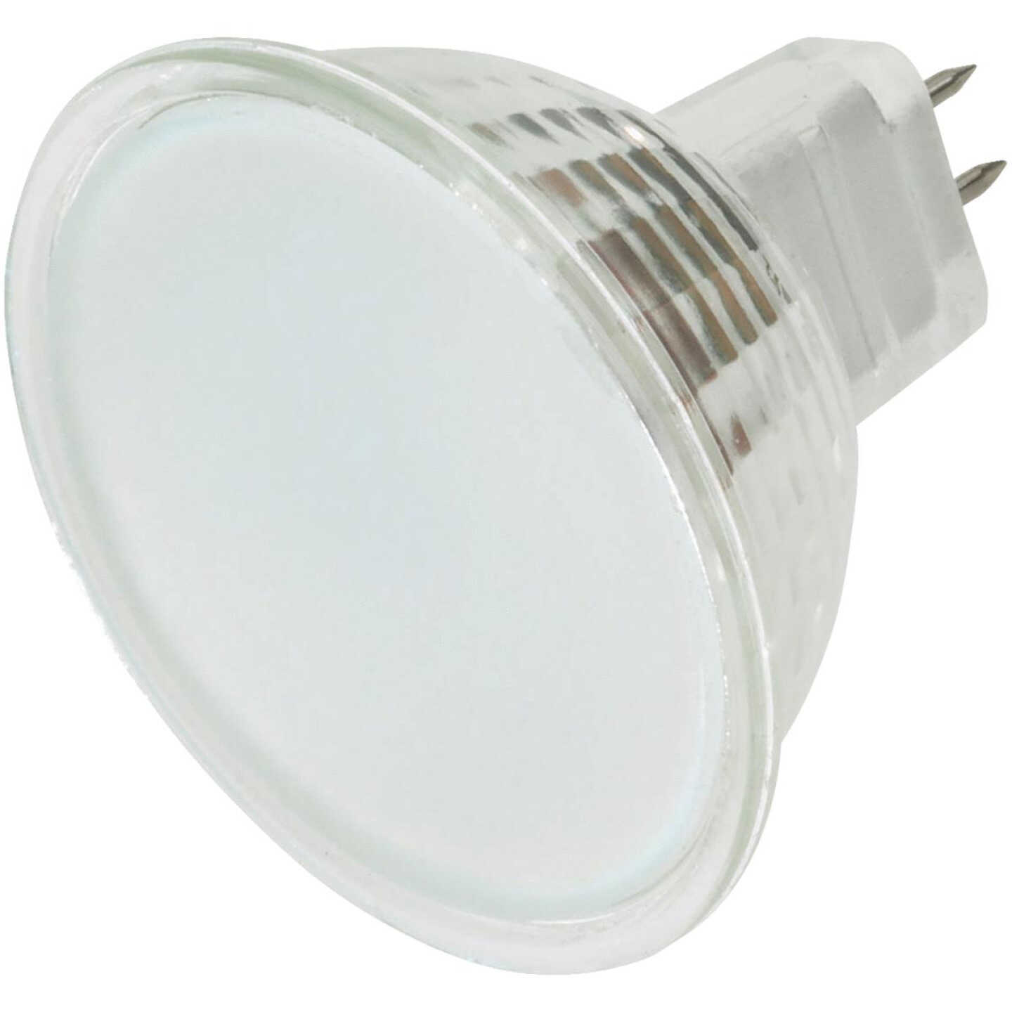 50W GU5.3 HALOGEN BULB Image 1