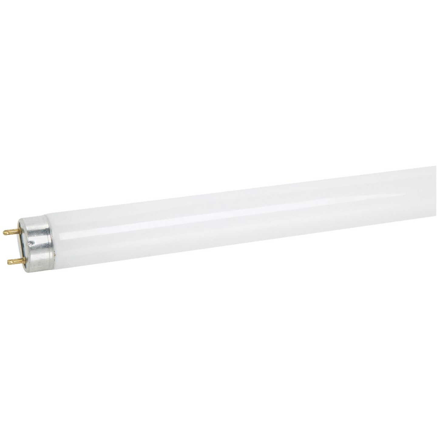 32W 4' T8D FLUOR TUBE Image 1