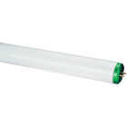 Philips 30W 36 In. Cool White T12 Bi-Pin Fluorescent Tube Light Bulb Image 1