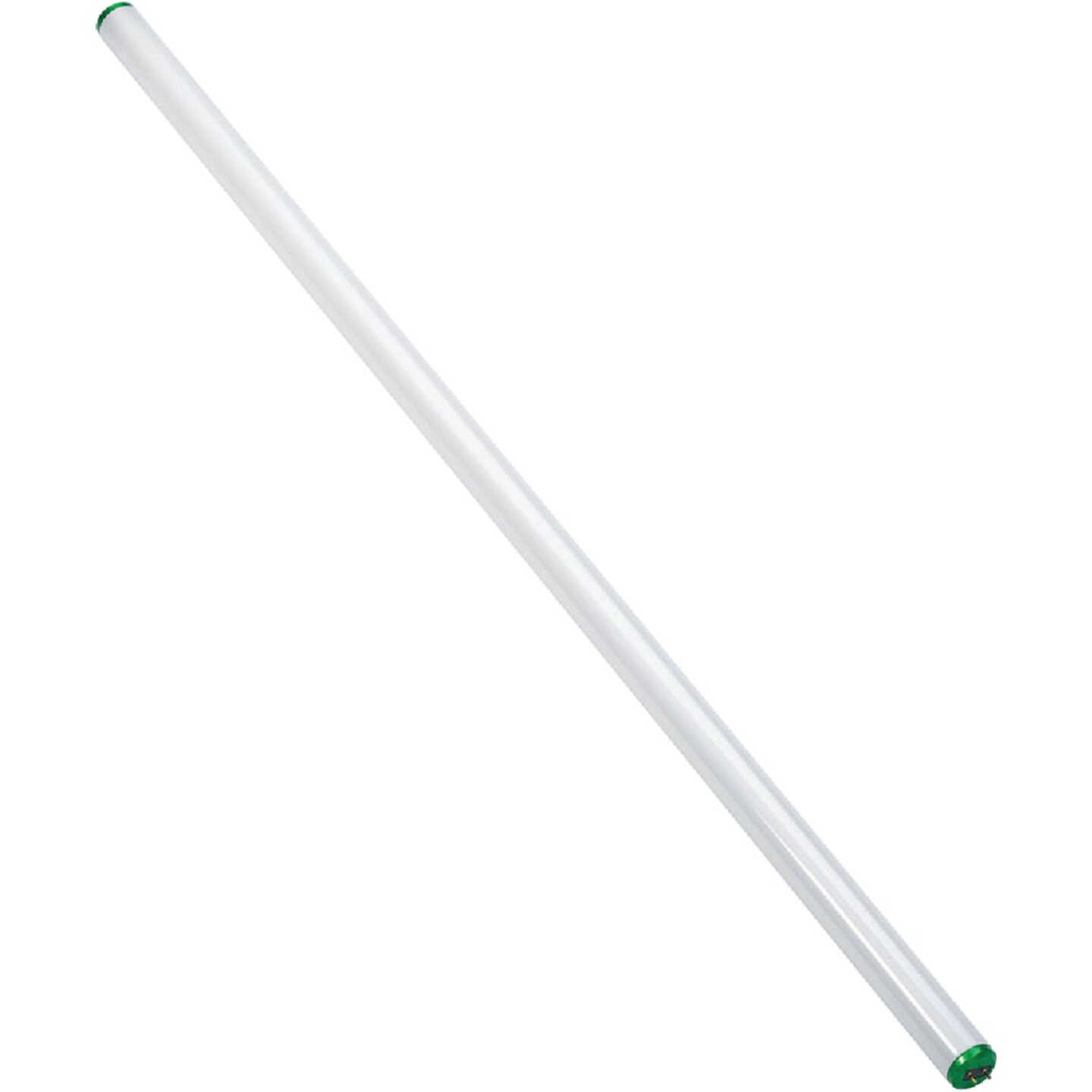 Philips ALTO 40W 48 In. Cool White T12 Medium Bi-Pin Fluorescent Tube Light Bulb Image 2