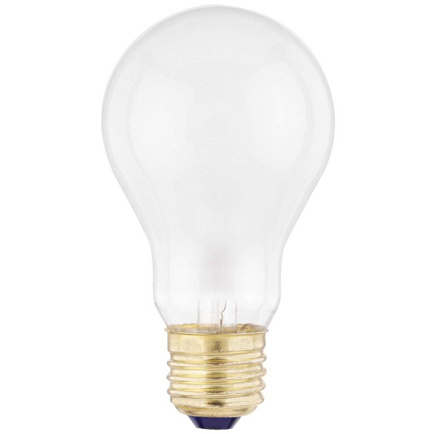60W MEDIUM FROSTED BULB Image 1