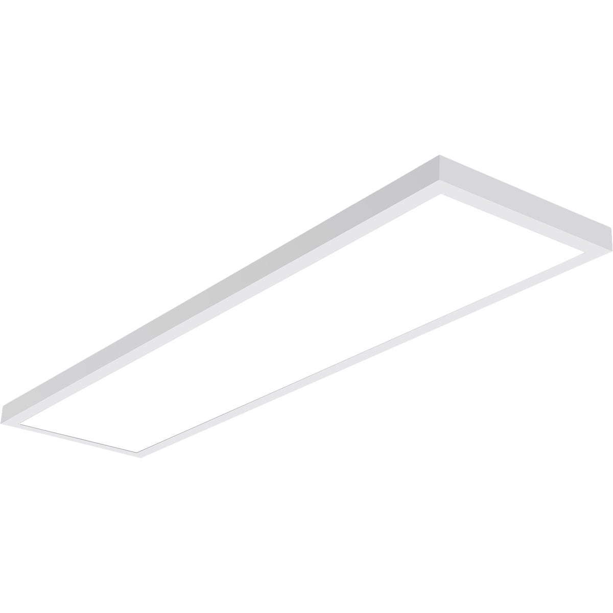 Metalux 1 Ft. x 4 Ft. Multi-Mount Utility Surface Mount Fixture