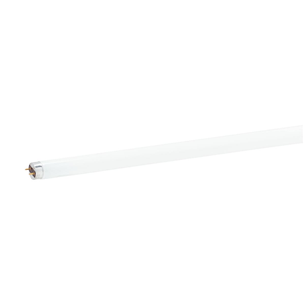32W 4' T8 WW FLUOR TUBE Image 1