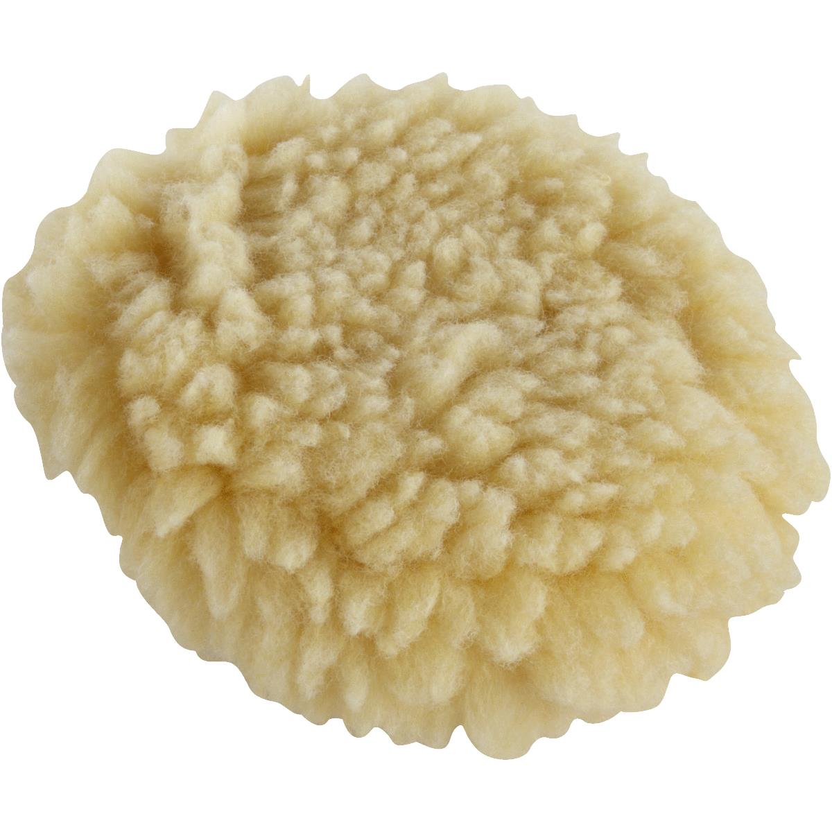 Waxers & Polishers