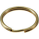 Lucky Line Tempered Steel Nickel-Plated 3 In. Key Ring Image 1