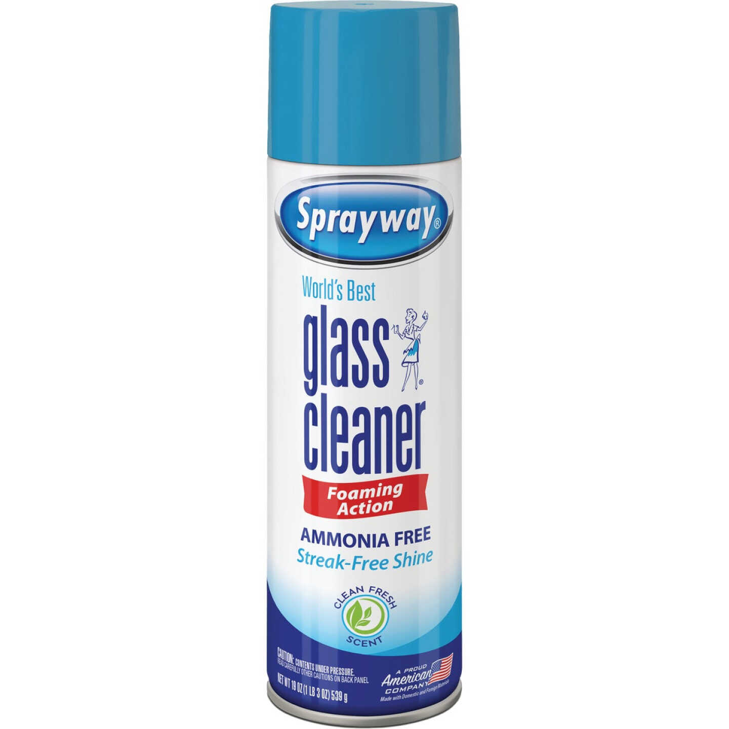 Sprayway 19 Oz. Aerosol Spray Glass & Surface Cleaner Image 1