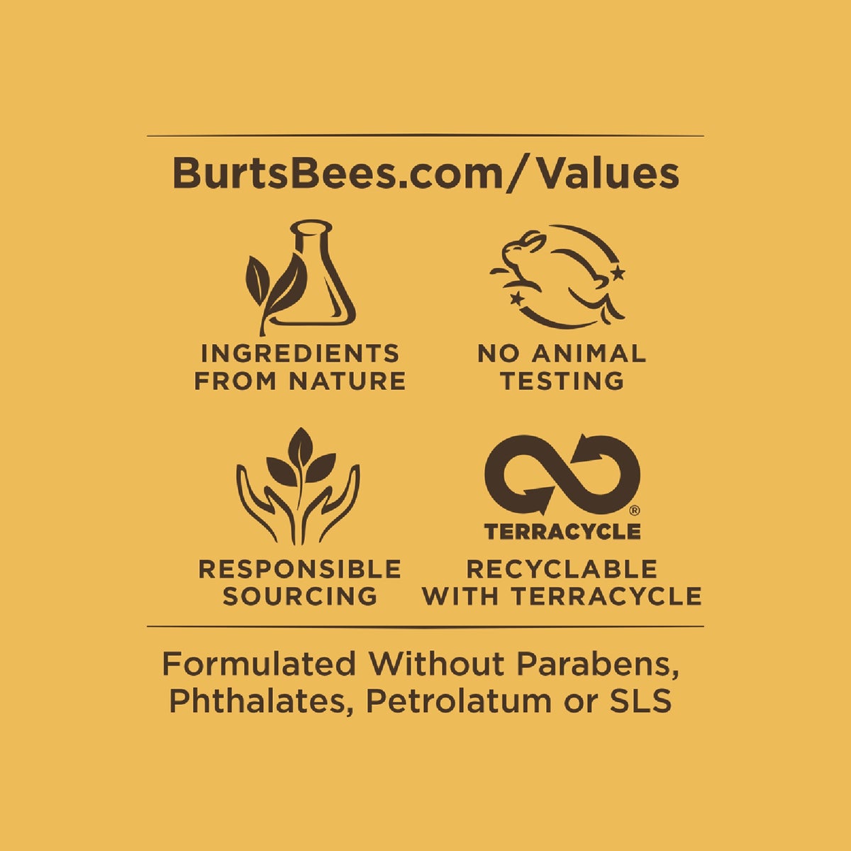 Burt's Bees Super Fruit Pink Grapefruit, Mango, Coconut & Pear and Pomegranate Lip Balm (4-Pack) Image 2