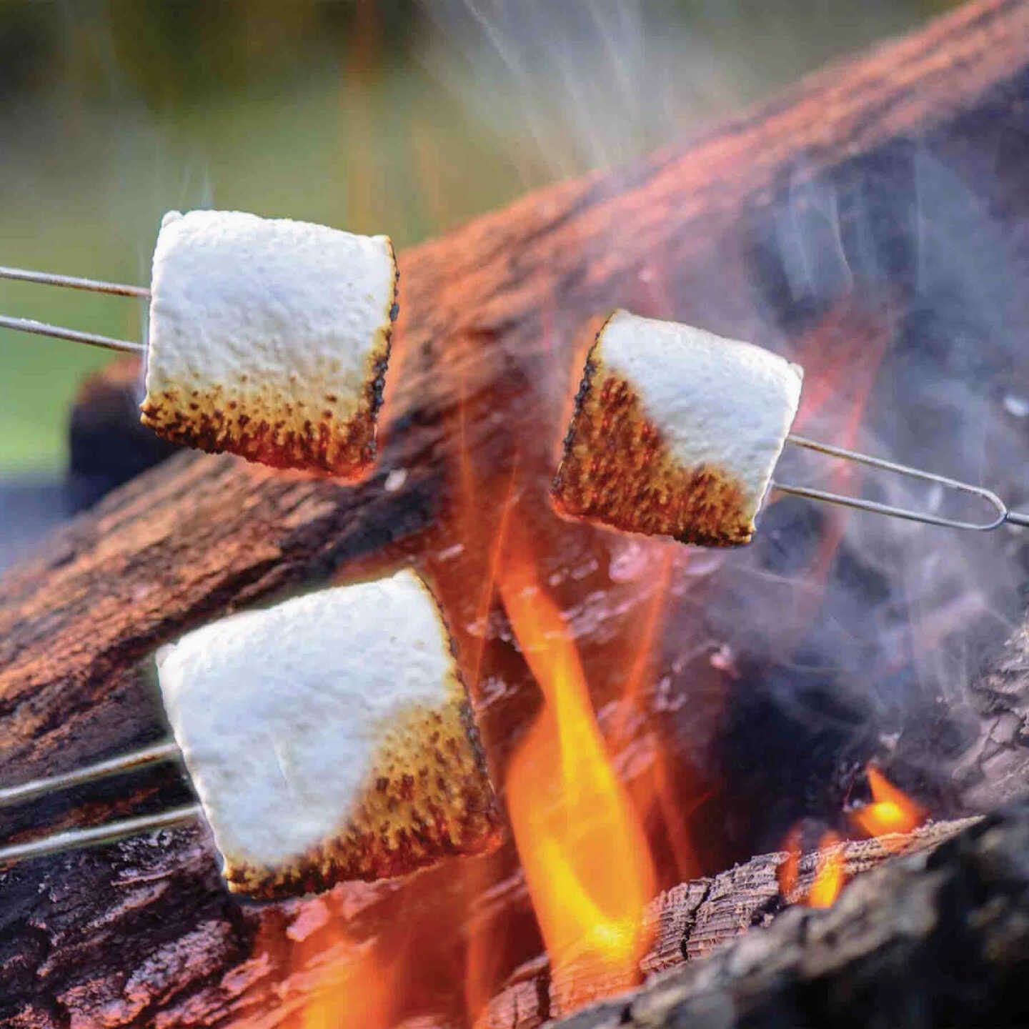 Shawshank Ledz Stainless Steel Extendable Marshmallow Fork Image 3