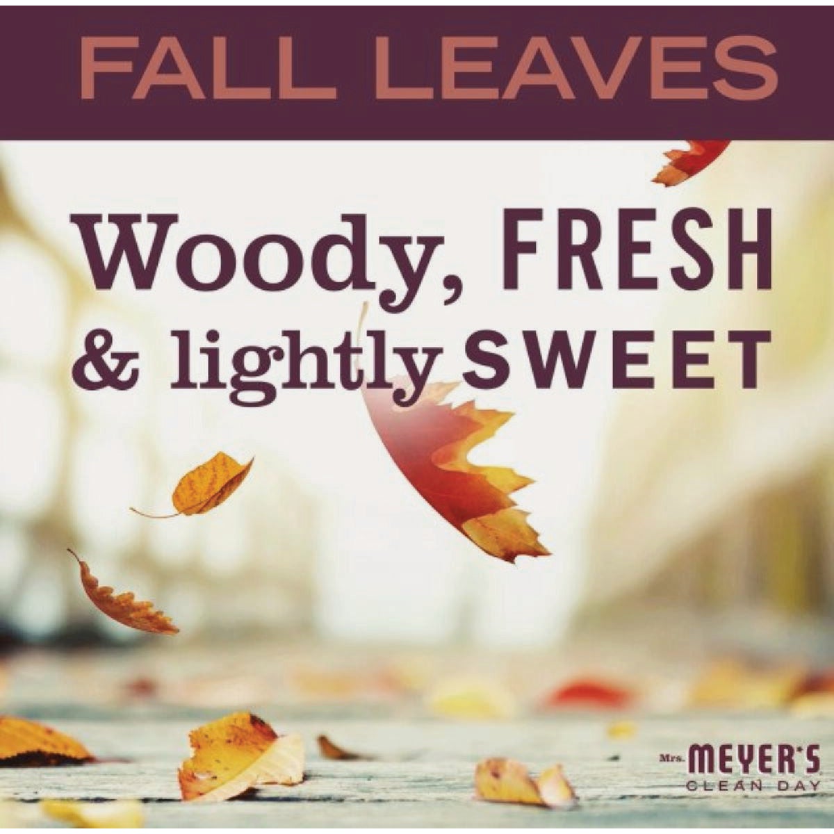Mrs. Meyer's Clean Day 12.5 Oz. Fall Leaves Liquid Hand Soap Image 4