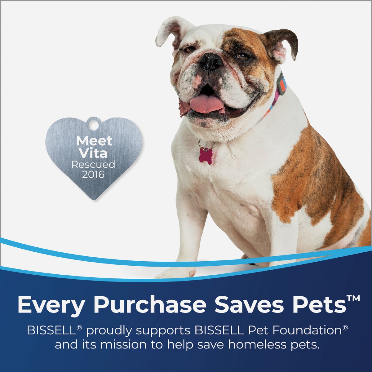 Bissell Little Green Pet Pro Carpet & Upholstery Cleaner Image 2
