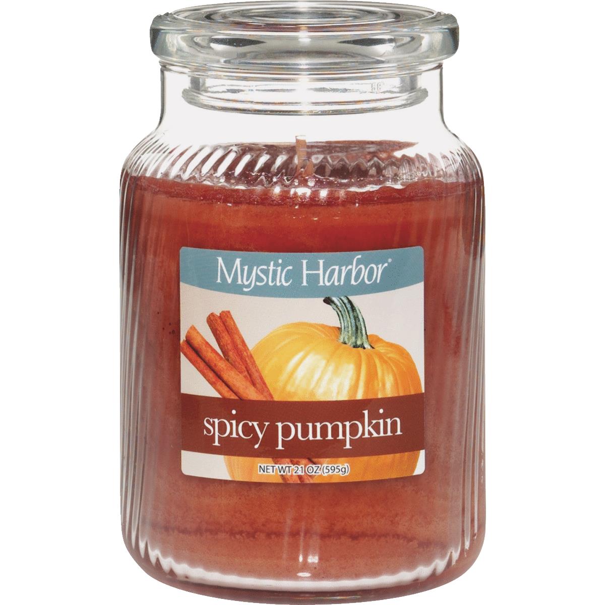 LRG SPICY PUMPKIN CANDLE