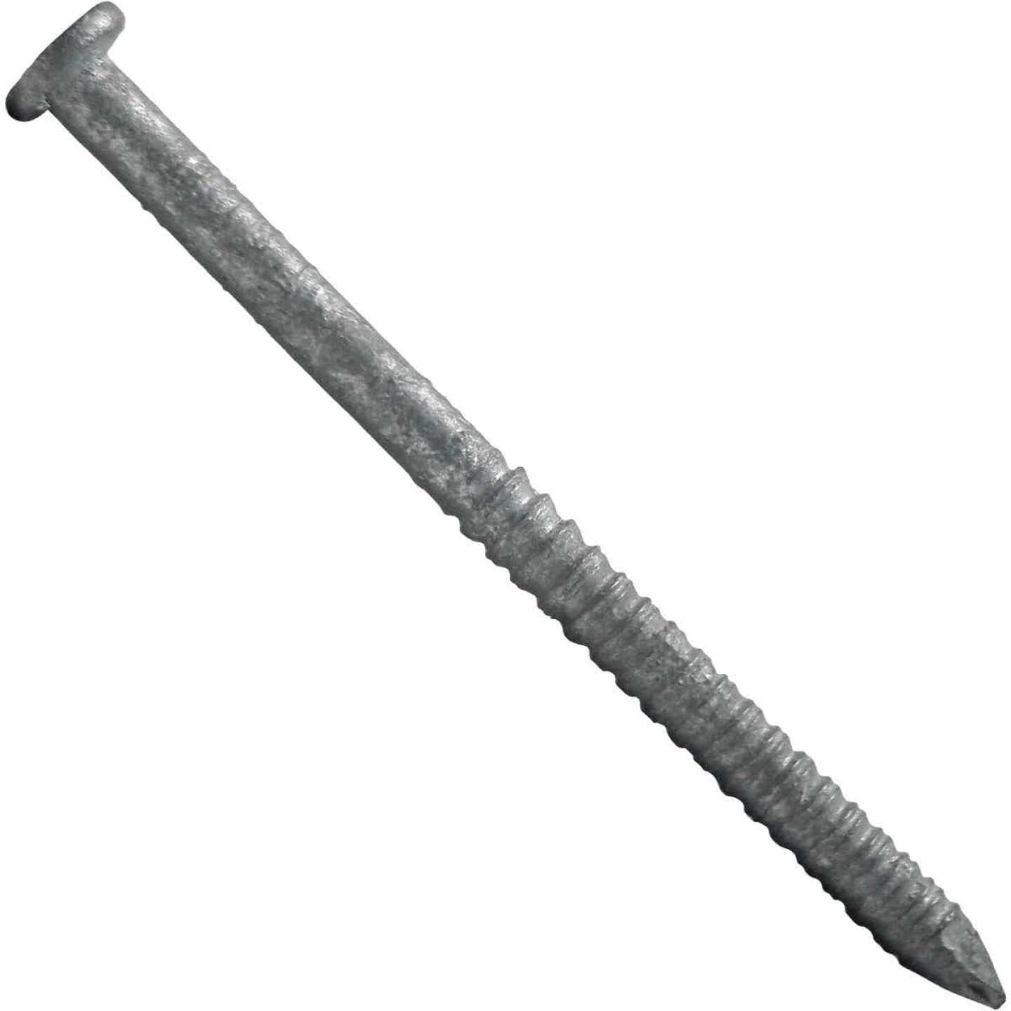 Maze 10d x 3 In. 10 ga Hot Dipped Galvanized Ring Shank Deck Nails (3750 Ct., 50 Lb.) Image 1