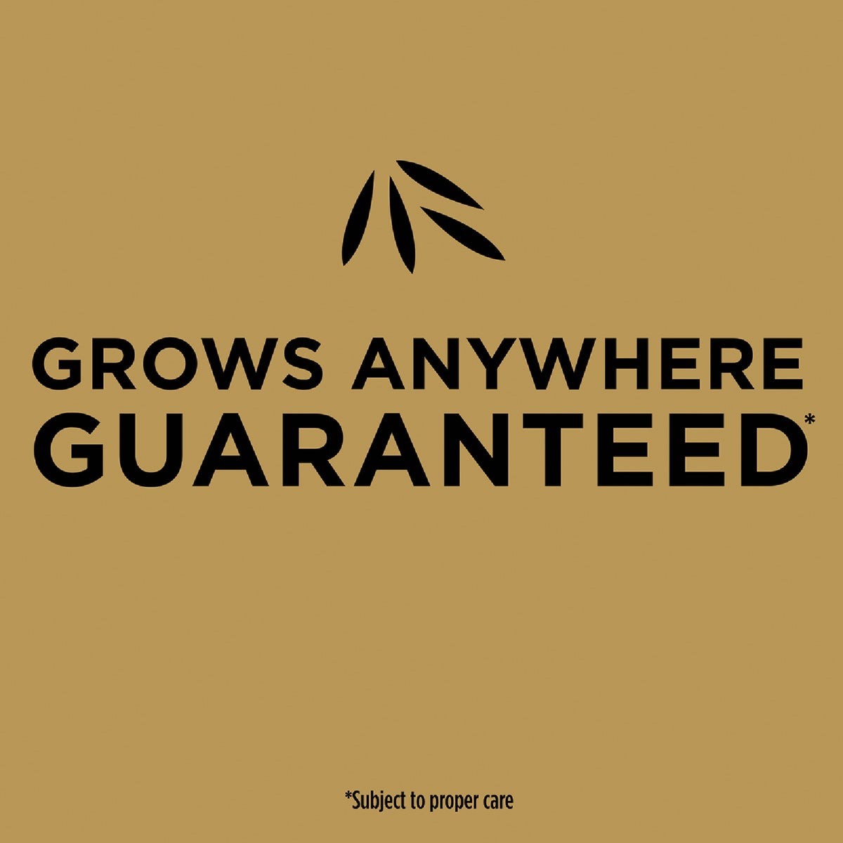 Scotts EZ Seed 20 Lb. 445 Sq. Ft. Patch & Repair Sun and Shade Mulch, Seed and Fertilizer Combination Image 3