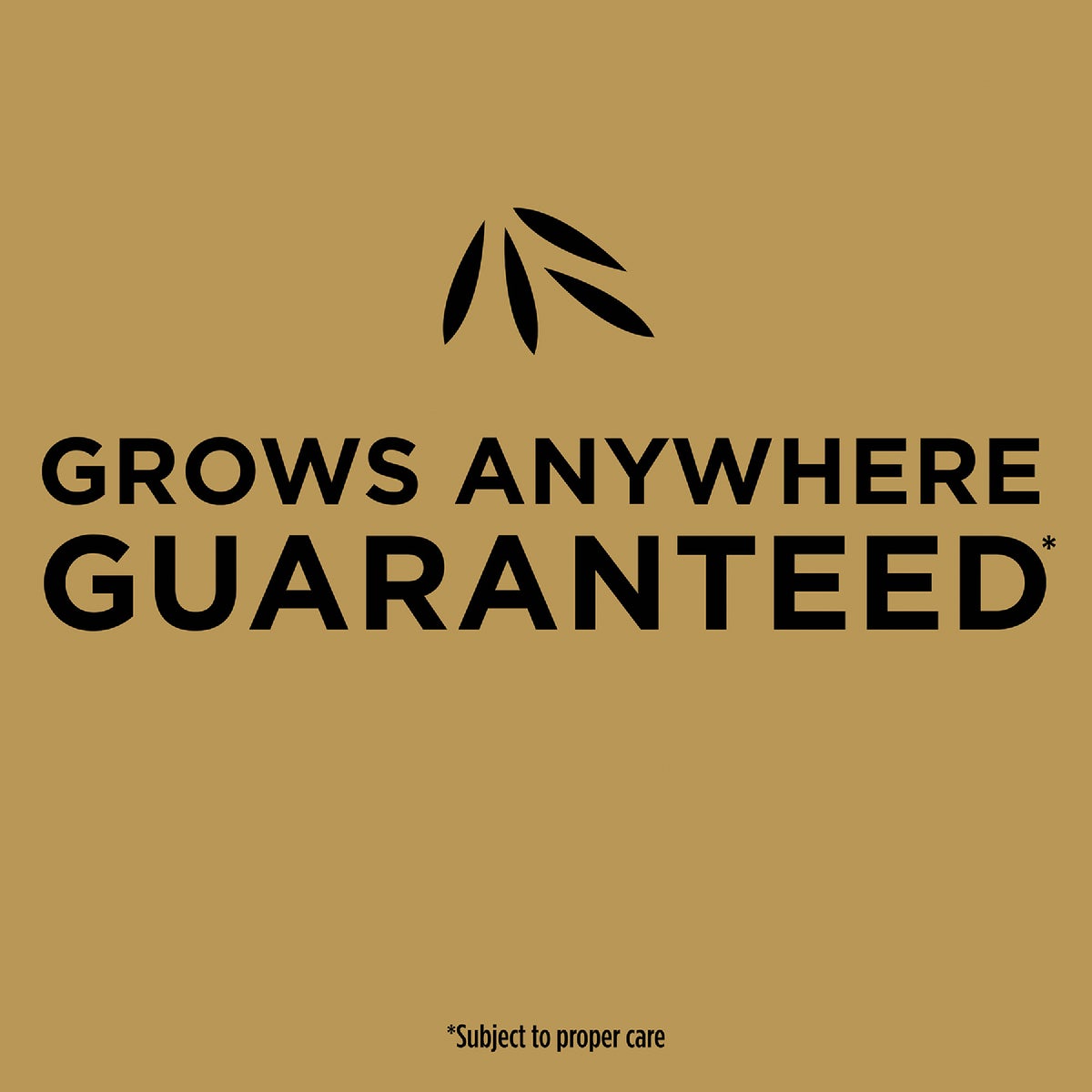 Scotts EZ Seed 20 Lb. 445 Sq. Ft. Patch & Repair For Tall Fescue Lawns Mulch, Seed and Fertilizer Combination Image 4