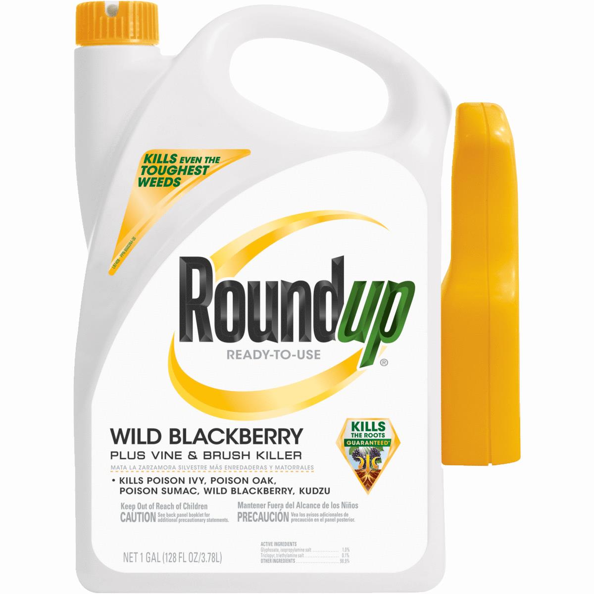 1G RTU BLCKBERRY ROUNDUP