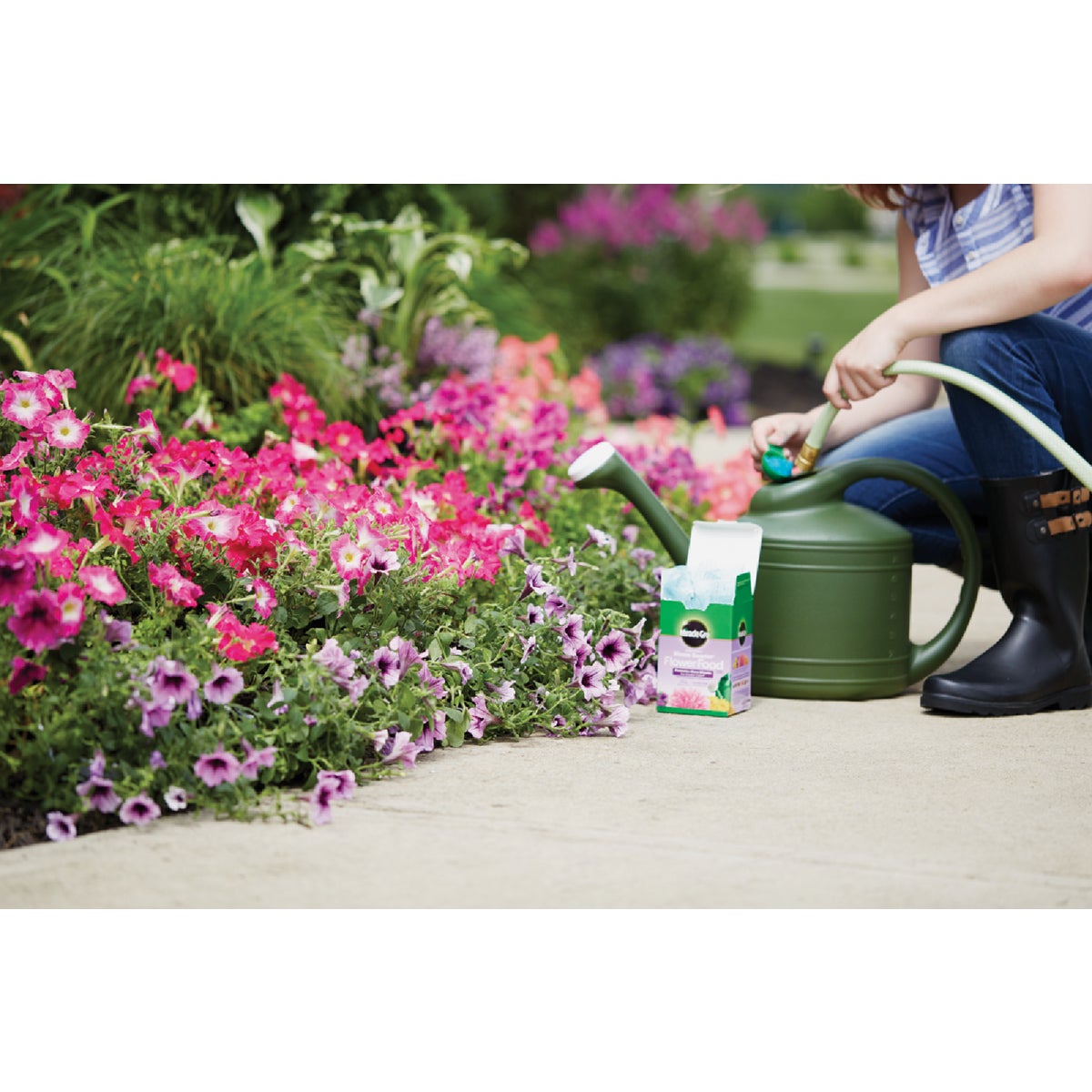 Miracle-Gro Bloom Booster 1 Lb. Water Soluble Flower Food Image 2