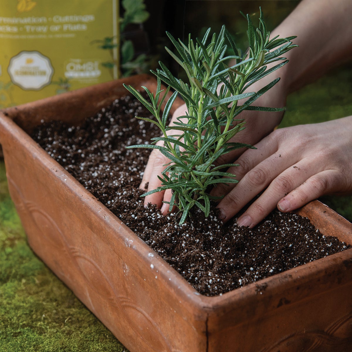 Black Gold 16 Qt. 8-1/3 Lb. All Purpose Container Potting Seed Starting Mix Image 3
