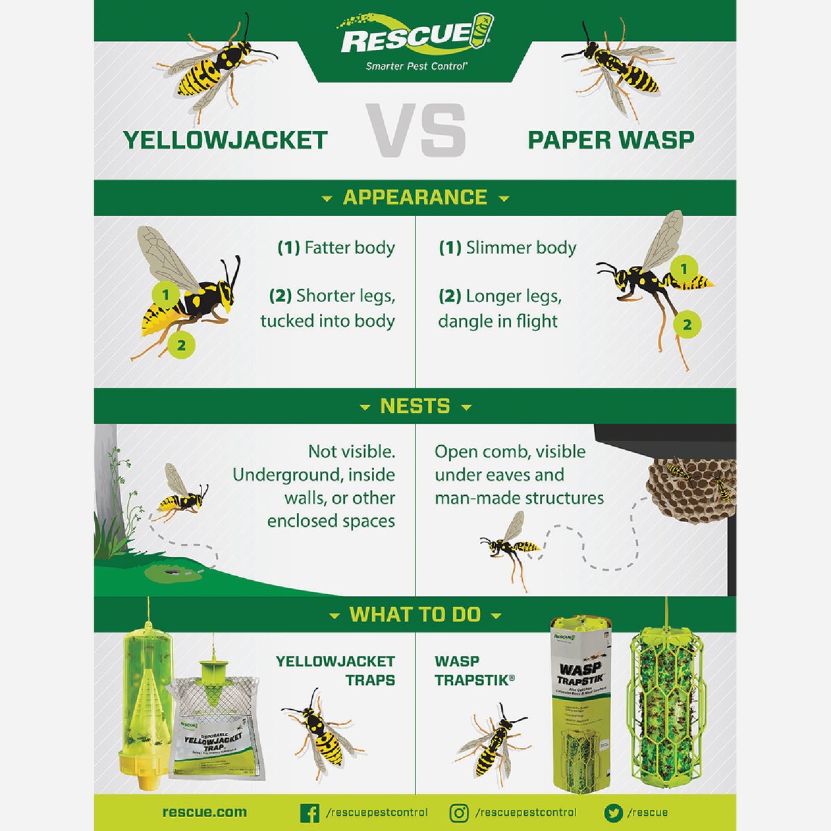 Rescue TrapStik Wasp, Carpenter Bee, Mud Dauber Trap Image 4