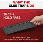 TOMCAT Rat Size Mouse Glue Trap (2-Pack) Image 6