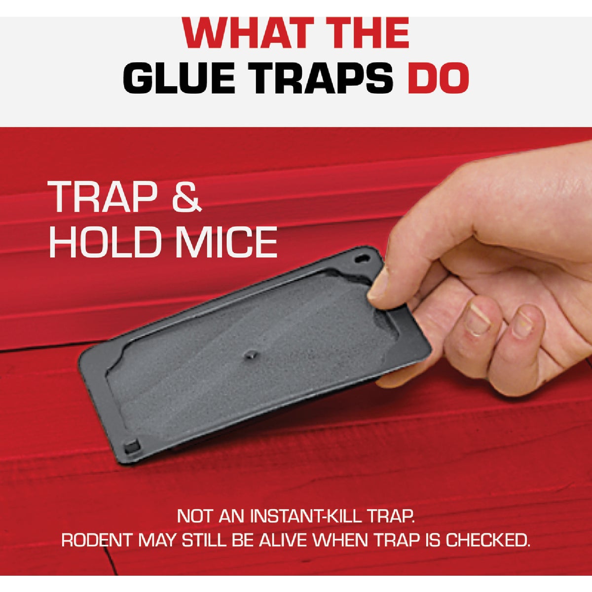TOMCAT Mouse Size Glue Trap (4-Pack) Image 6