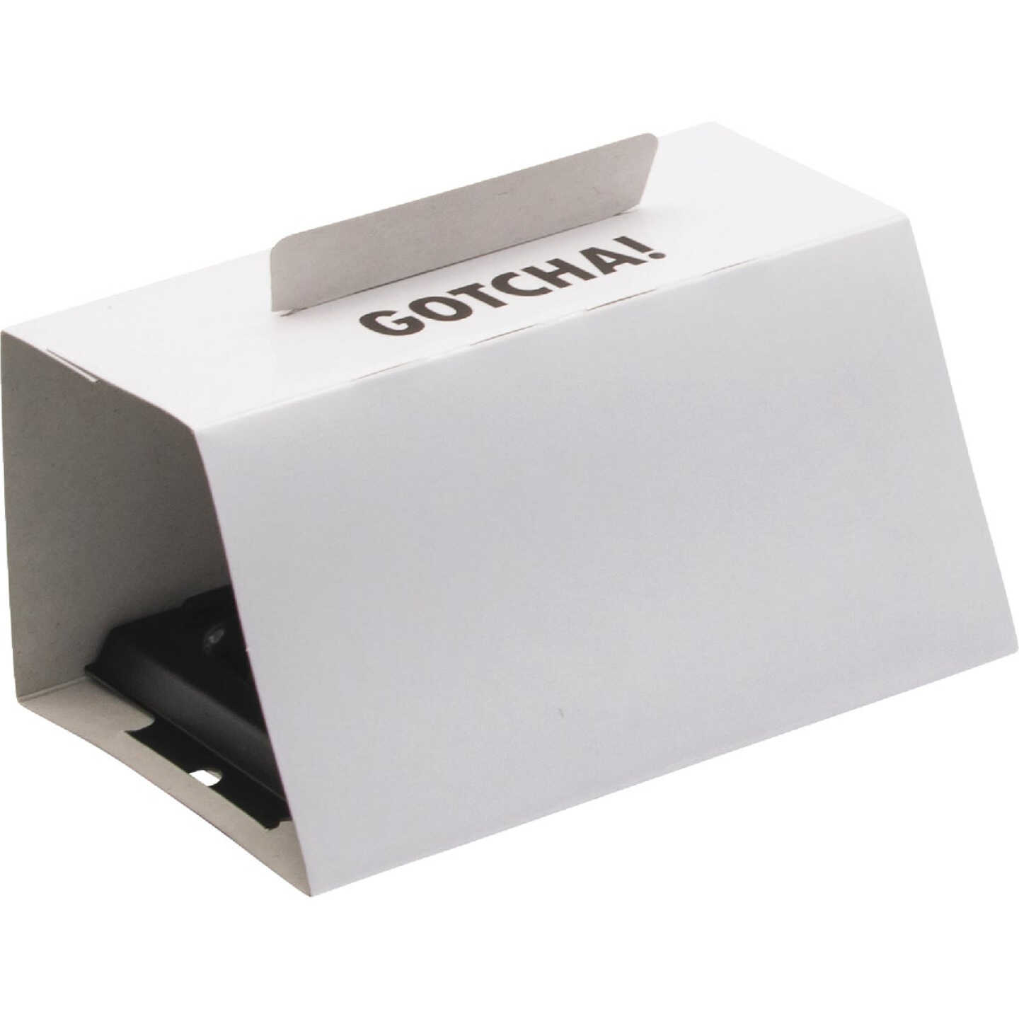 Intruder The Better Glue Trap Cold Temperature Mouse Trap (4-Pack) Image 1