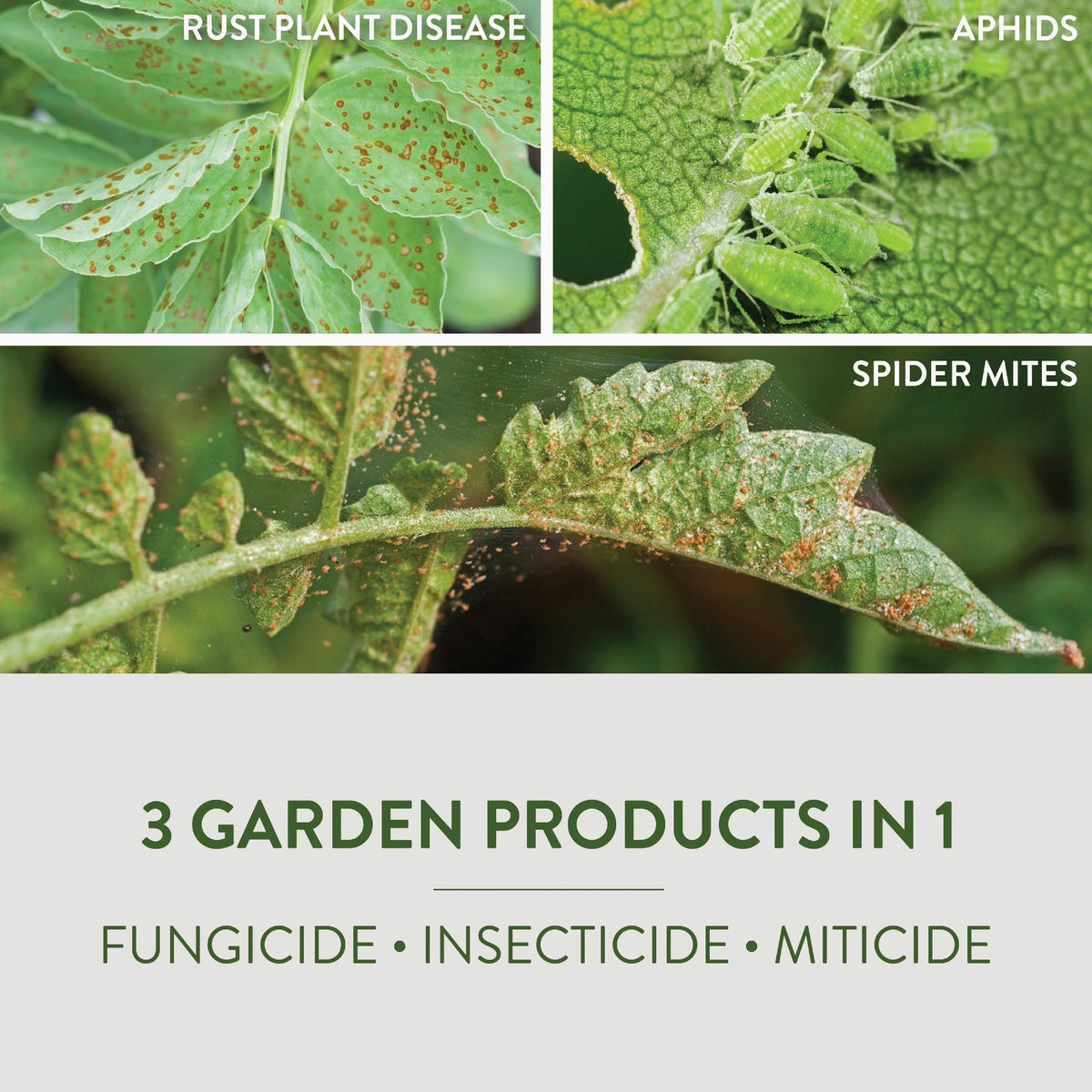 Garden Safe Fungicide 3 32 Oz. Ready To Use Trigger Spray Fungicide Image 5