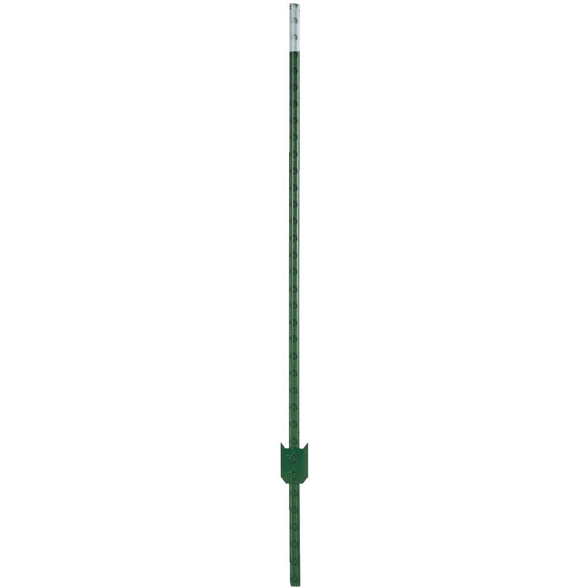 6' 1.25 PAINTED T-POST