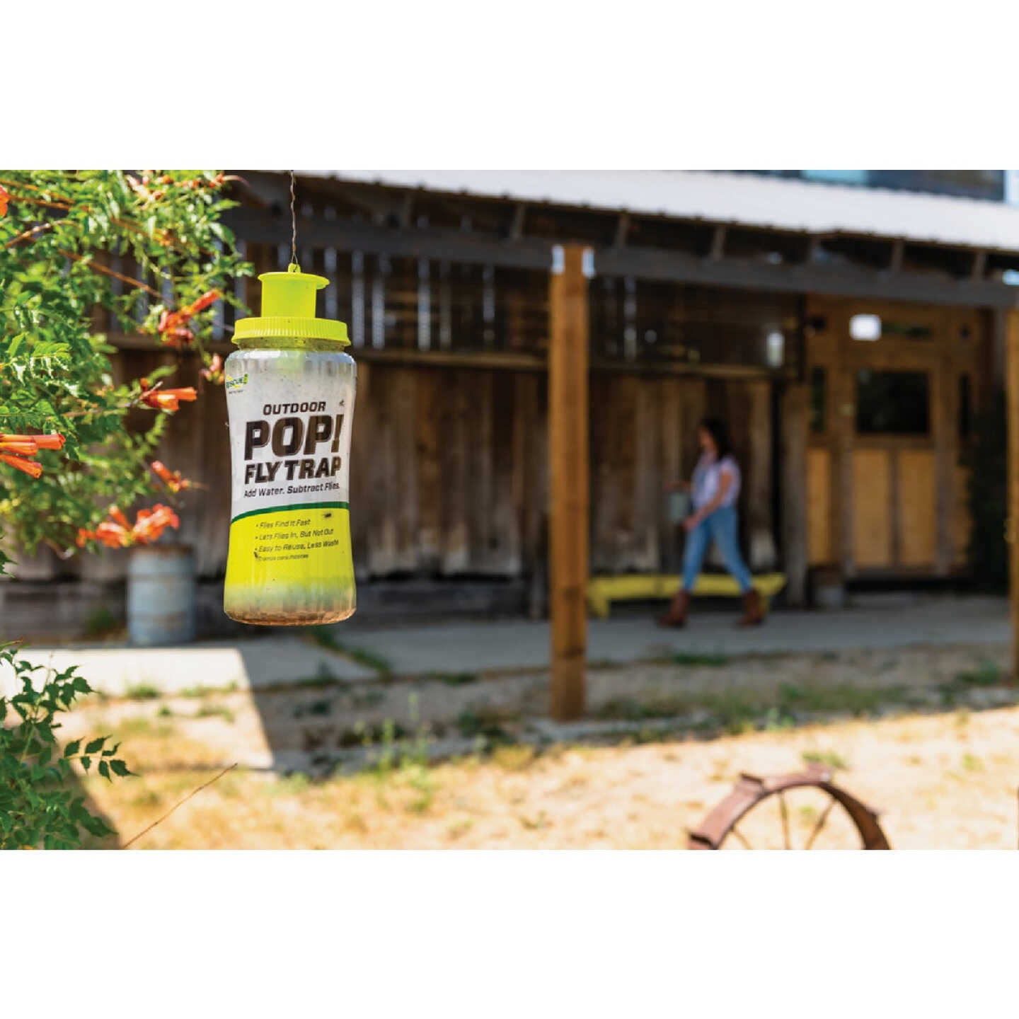 Rescue Pop Reusable Outdoor Fly Trap Image 4