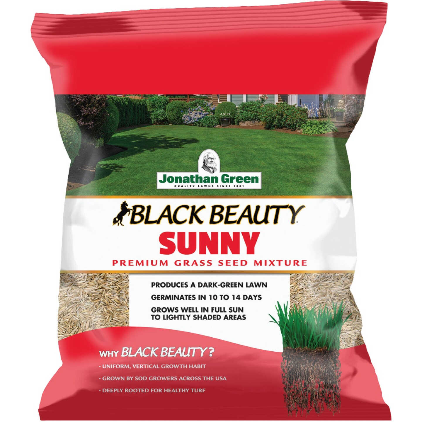 Jonathan Green Black Beauty 7 Lb. 2975 Sq. Ft. Coverage Full Sun Grass Seed Image 1
