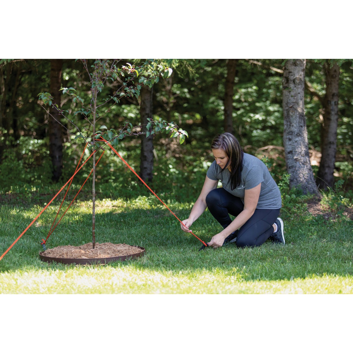 Master Mark Heavy-Duty Plastic Tree Stake Kit Image 2