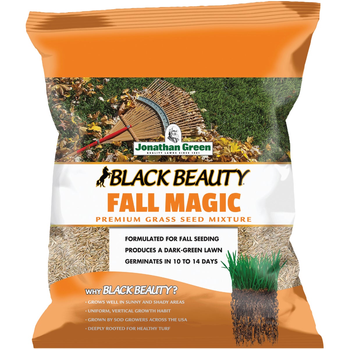 Jonathan Green Black Beauty Fall Magic 3 Lb. 750 Sq. Ft. Coverage Sun & Shade Grass Seed