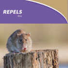 Bonide Mouse Magic Granular Mouse Repellent Scent Packs (12-Pack) Image 4