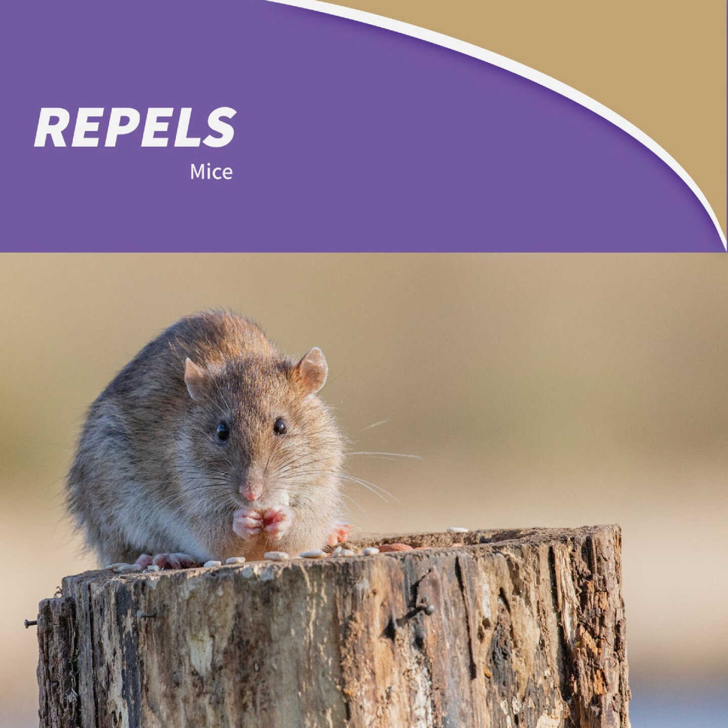 Bonide Mouse Magic Granular Mouse Repellent Scent Packs (12-Pack) Image 4