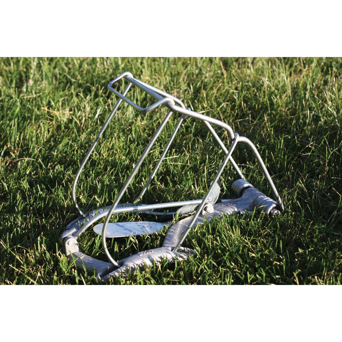 Gonzo Mega Grip Mole Trap Image 3