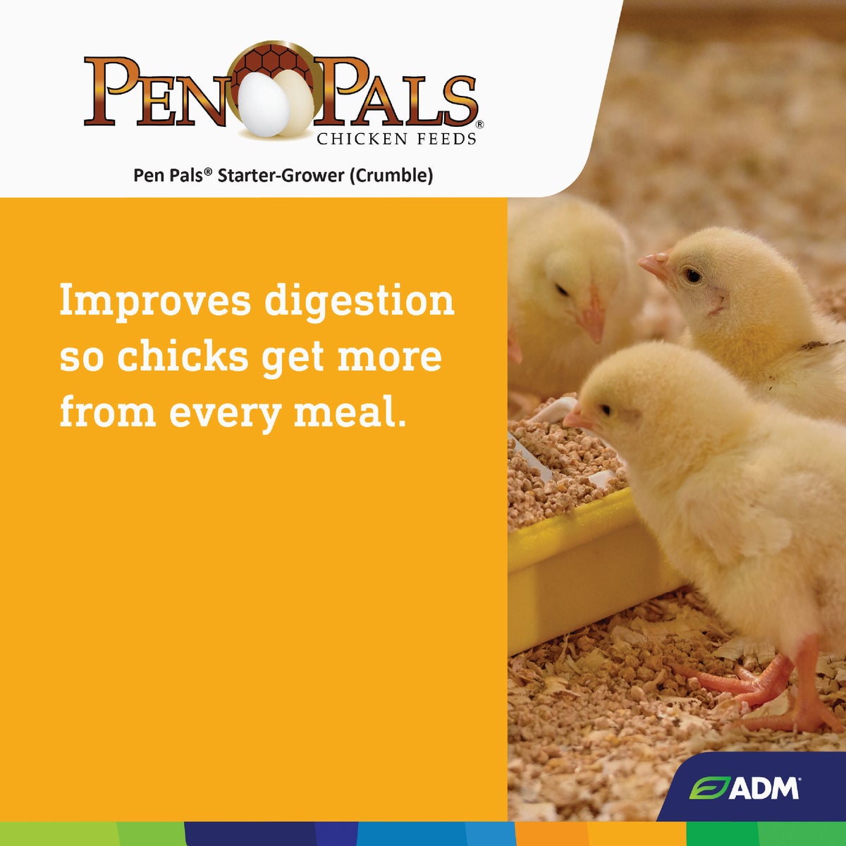 ADM Pen Pals 25 Lb. Chicken Starter/Grower Chicken Feed Image 5