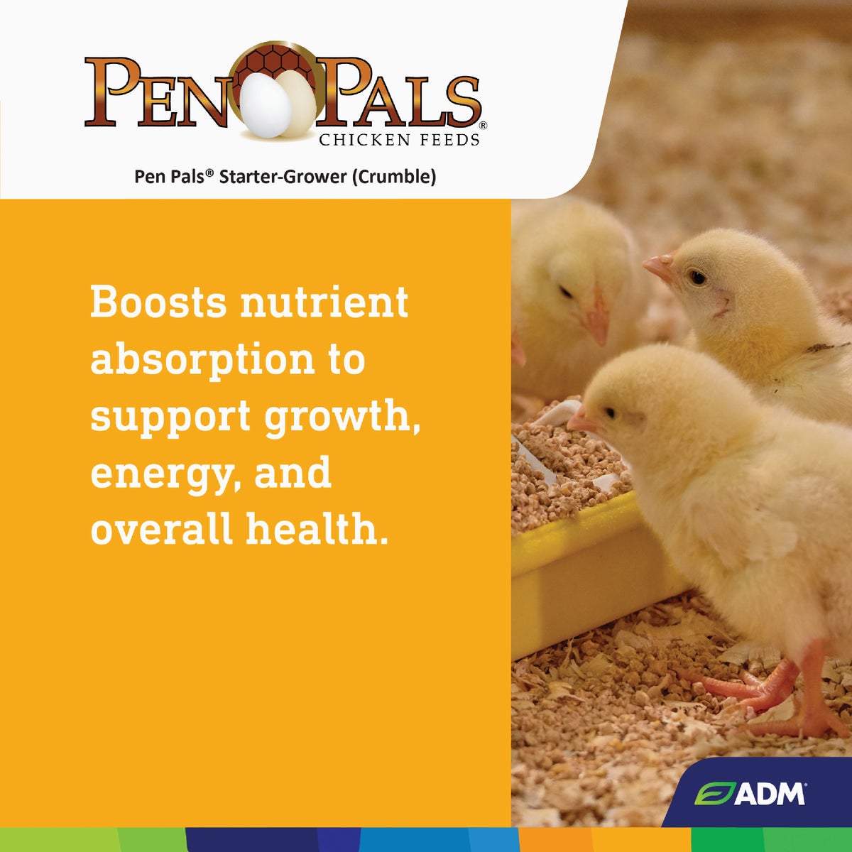 ADM Pen Pals 50 Lb. Medicated Chicken Starter/Grower Chicken Feed Image 6