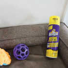 Bengal 17.5 Oz. Aerosol Spray Flea & Bedbug Killer Image 6