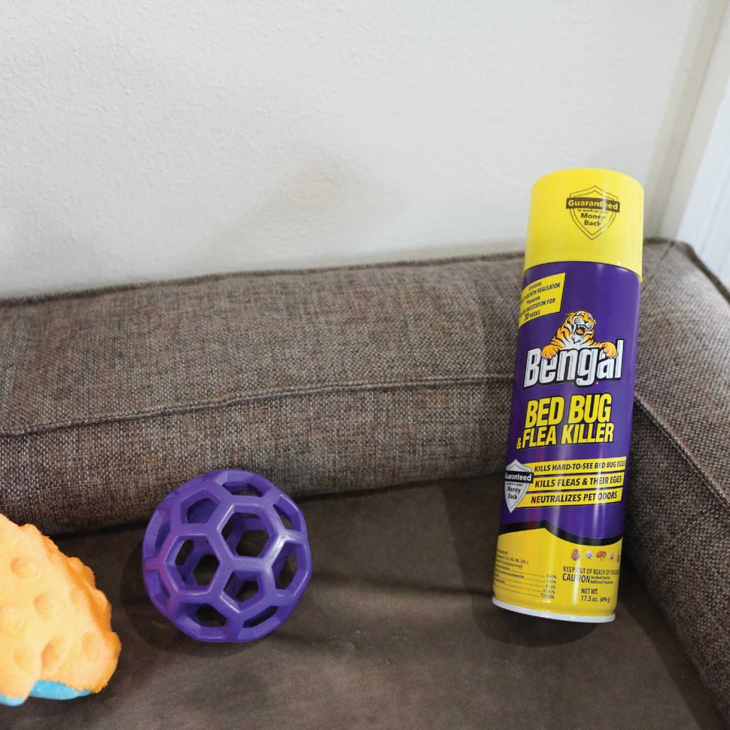Bengal 17.5 Oz. Aerosol Spray Flea & Bedbug Killer Image 6