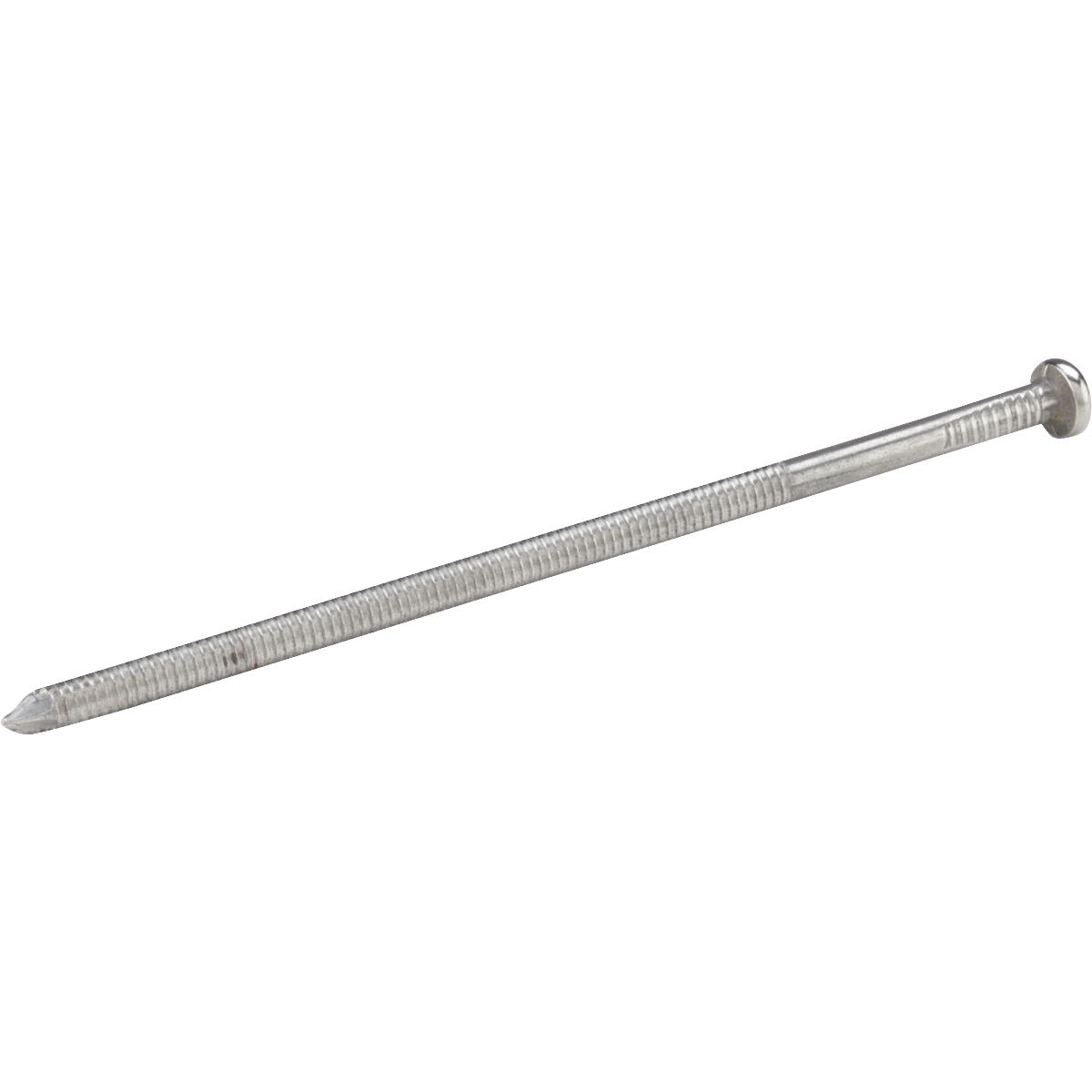 50LB 60D BRT POLBRN NAIL